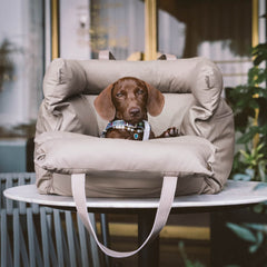 Siège auto et lit de voyage pour chiens