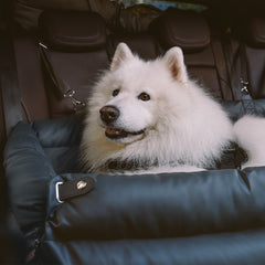 Siège auto et lit de voyage pour chiens
