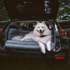 Siège auto et lit de voyage pour chiens