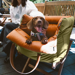 Siège auto et lit de voyage pour chiens