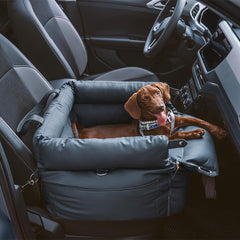 Siège auto et lit de voyage pour chiens