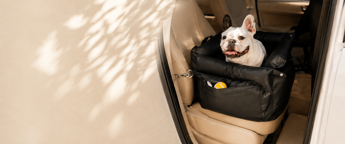 Dog resting comfortably in the car travel bed