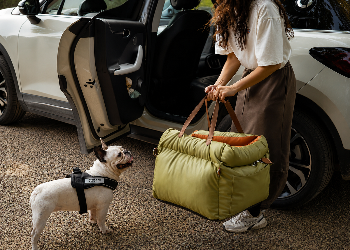 Gamelle pour chien sur un tapis de sol, laisse et pochette à friandises suspendues à l'entrée, et un chien se reposant dans le panier en cuir.