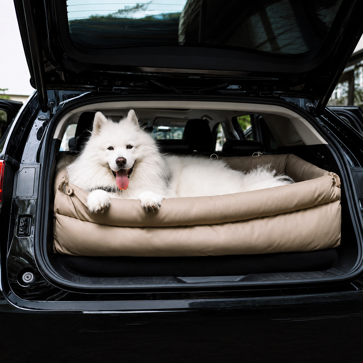 Sleeping dog in a leather bed in a warm minimalist home
