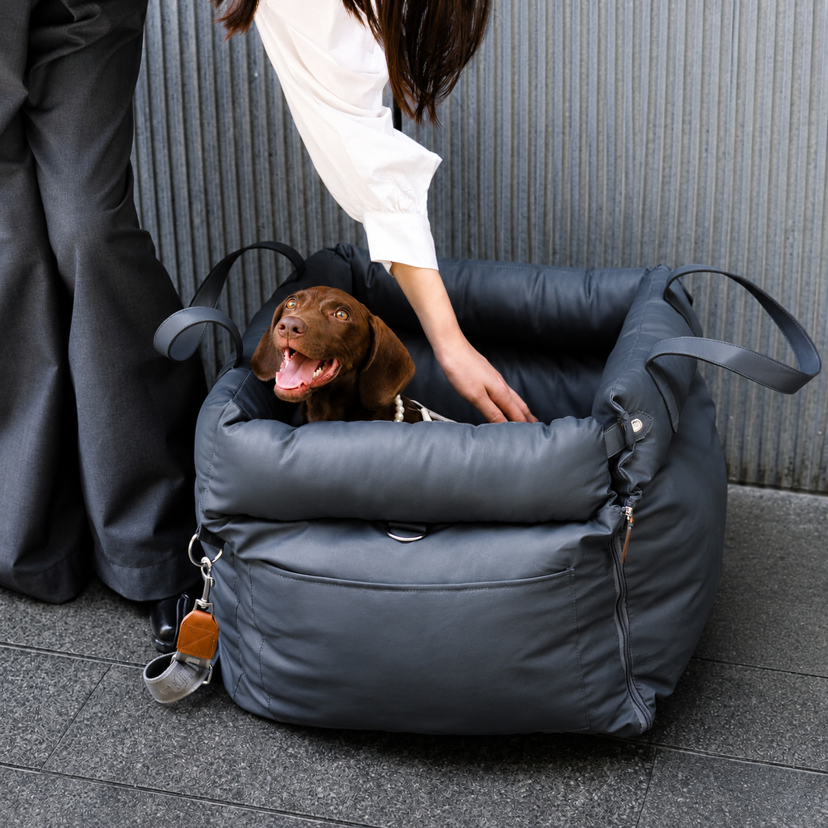 Sleeping dog in a leather bed in a warm minimalist home